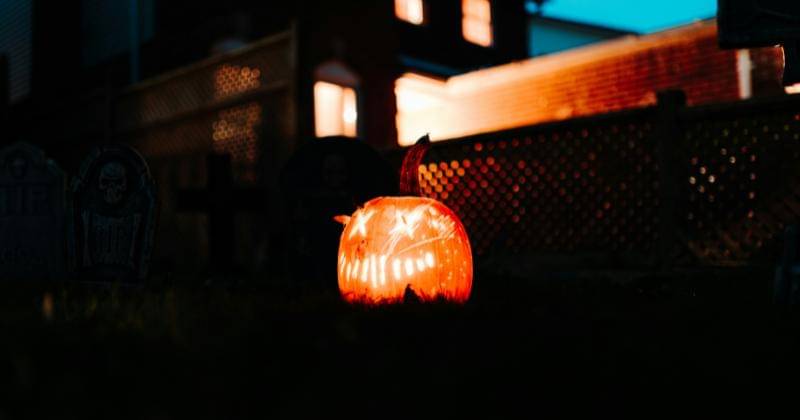 Unsplash/Dillon Kydd